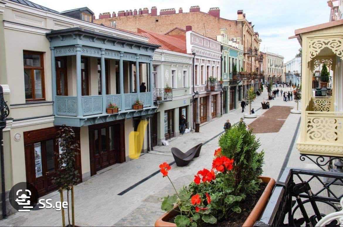 agmashenebeli ave - 1 rooms