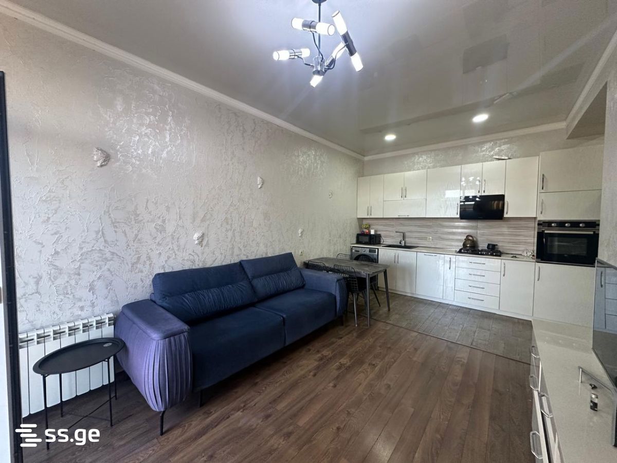vik. naneishvili st. 2 - 2 rooms