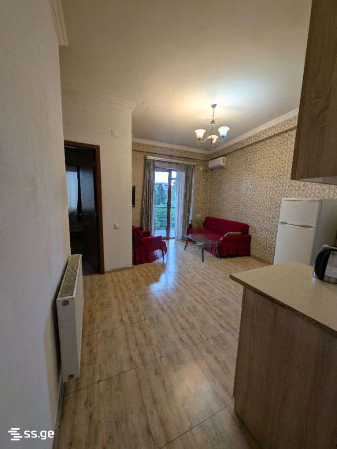 Ts. Dadiani st. (nadzaladevi) 22/24 - 2 rooms