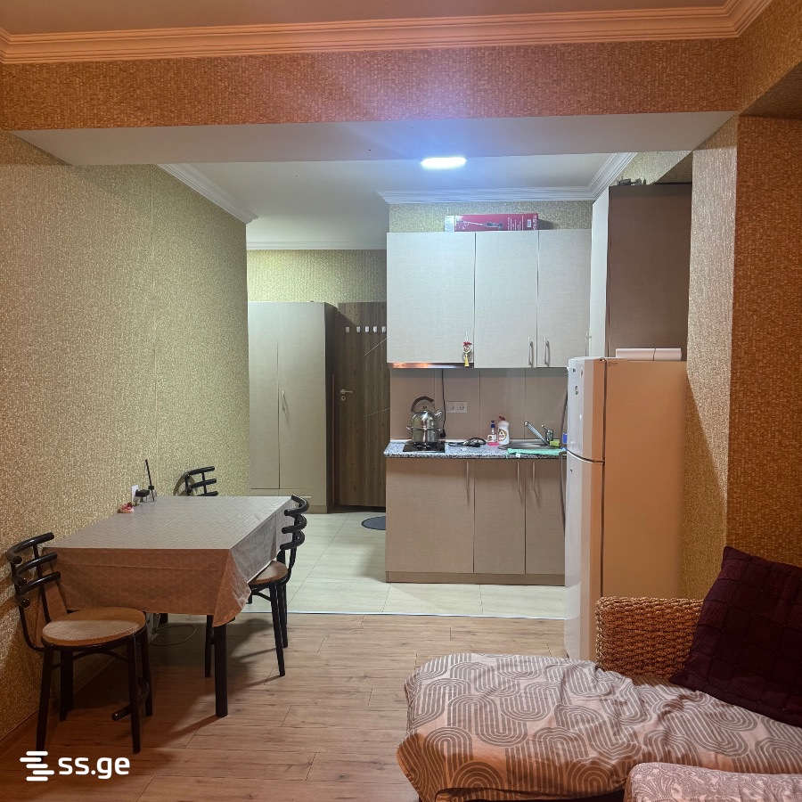Kindzmarauli Lane 31 - 1 rooms