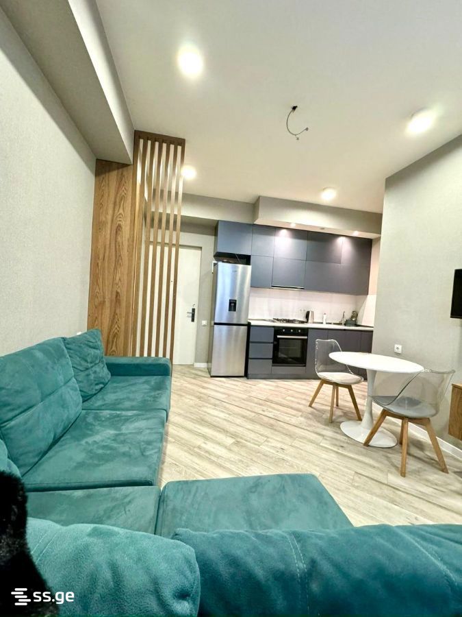 guramishvili ave (Sanzona) - 2 rooms