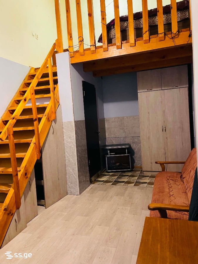 Bendukidze University Campus 19 - 2 rooms