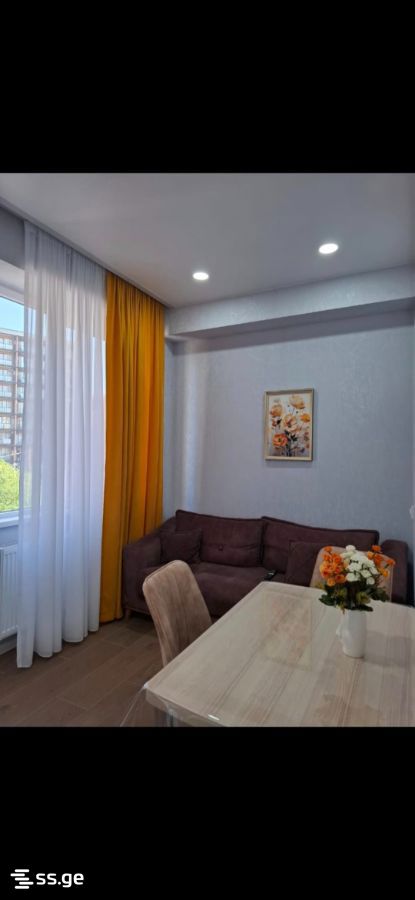 Liza Nakashidze-Bolkvadze st. 11 - 2 rooms