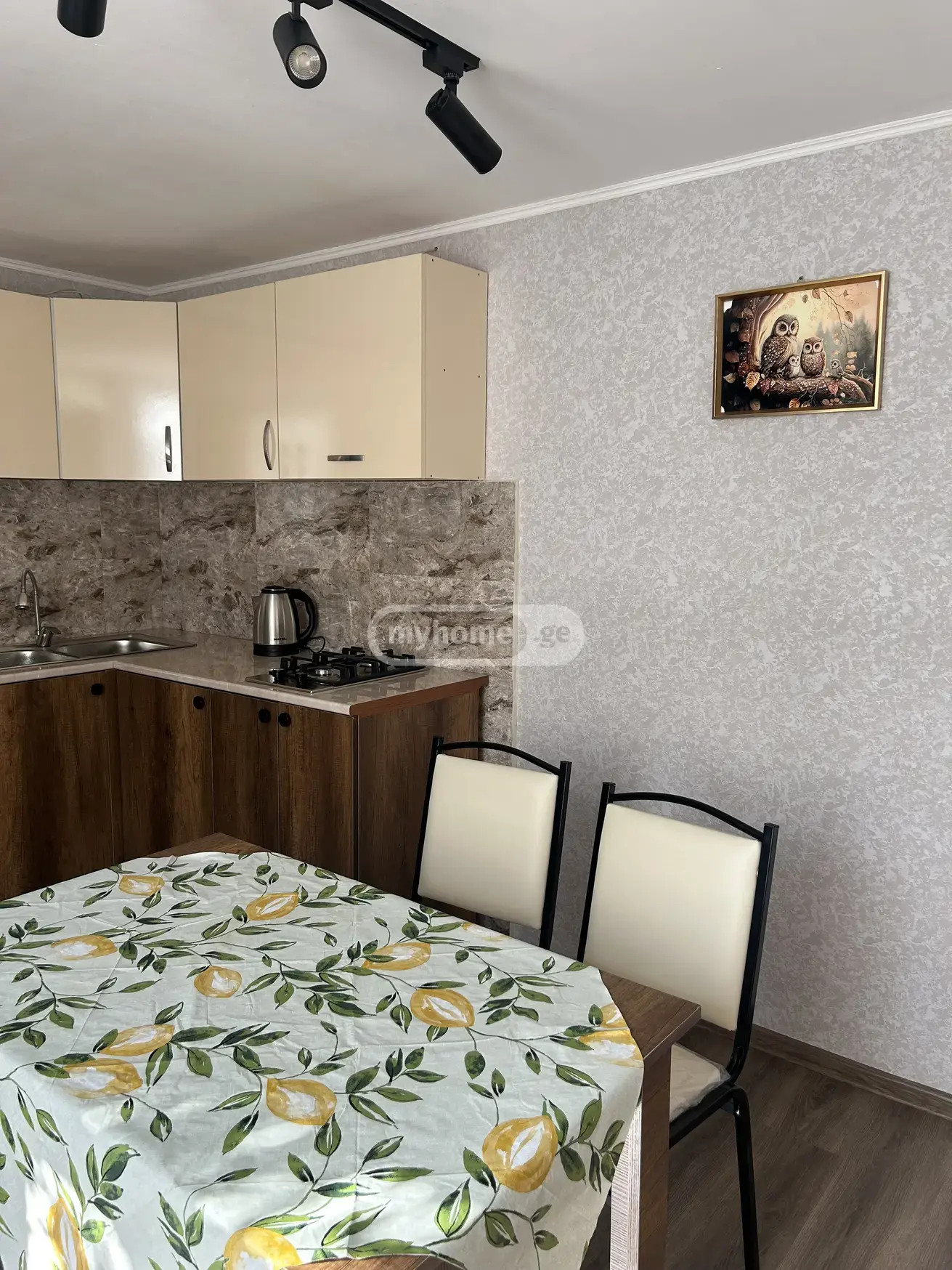 Квартира Petritsi st.