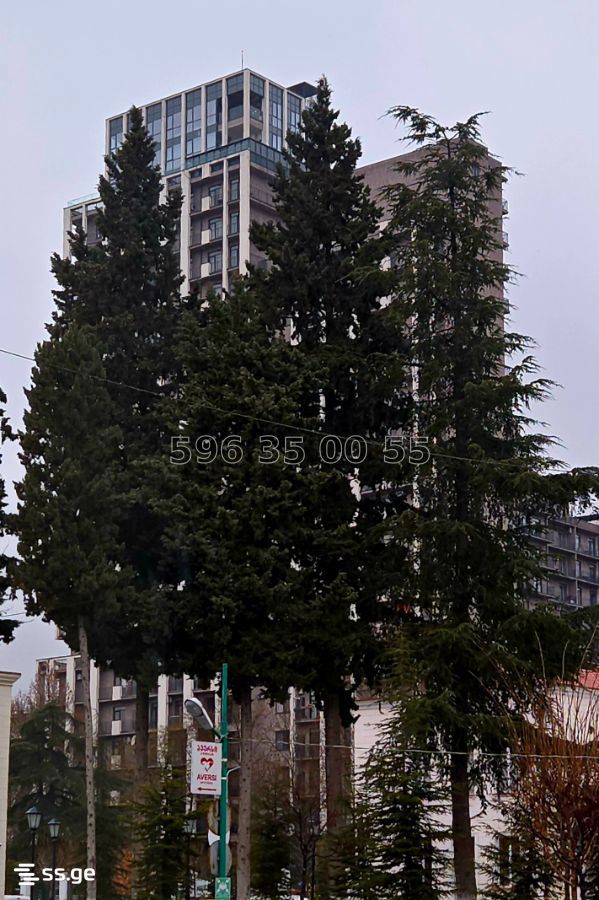 Kazbegi avenue 25 - 4 rooms