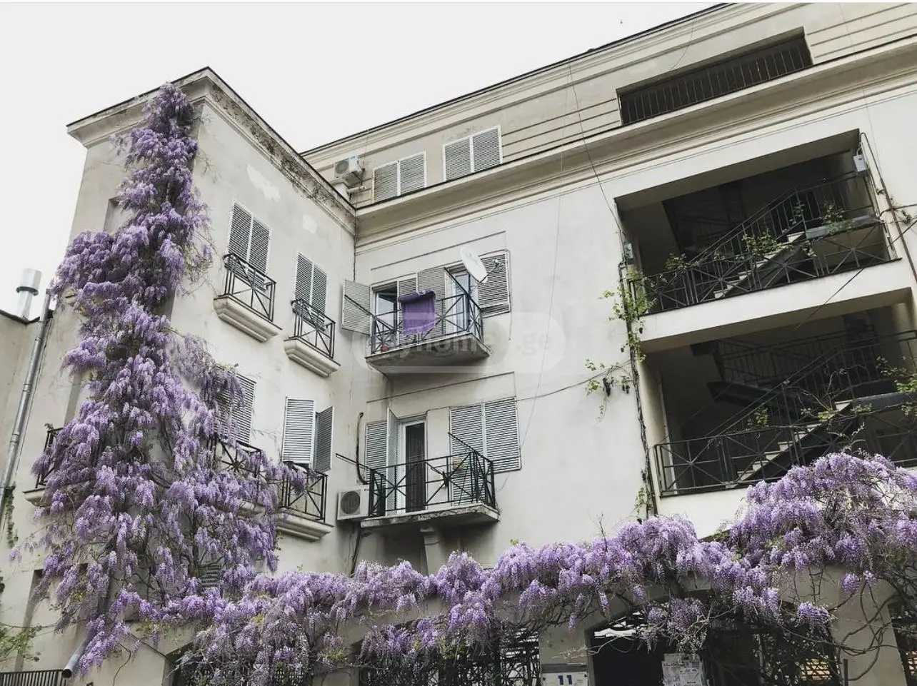 arsena st. - 3 rooms