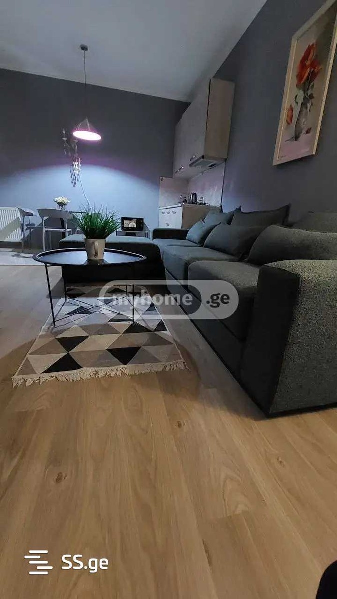 evdoshvili st. - 2 rooms
