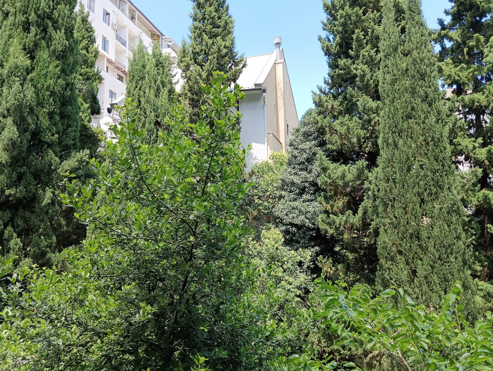 i. chavchavadze avenue - 2 rooms