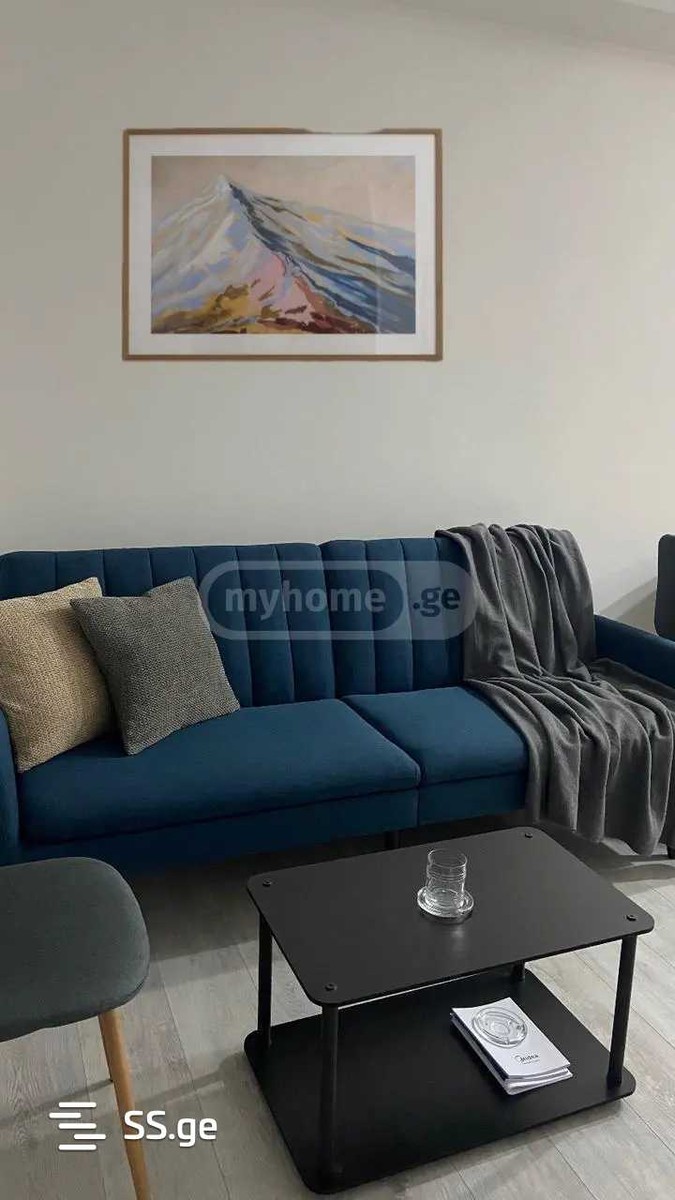 nucubidze st. - 2 rooms