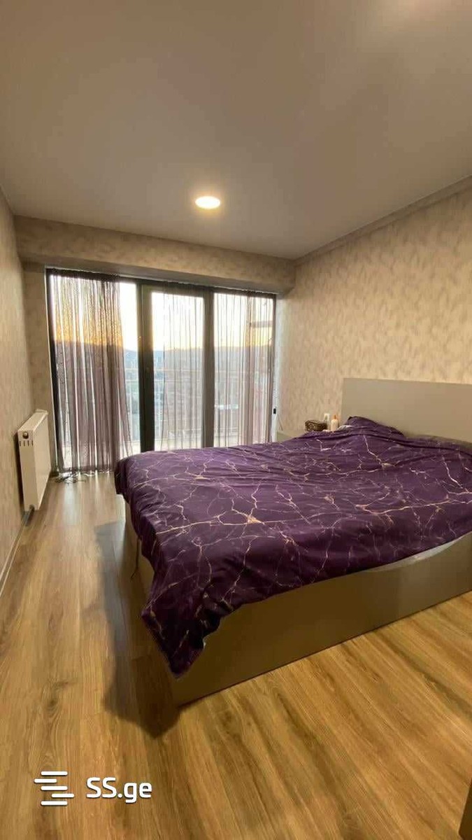 Ts. Dadiani st. (nadzaladevi) 0 - 2 rooms