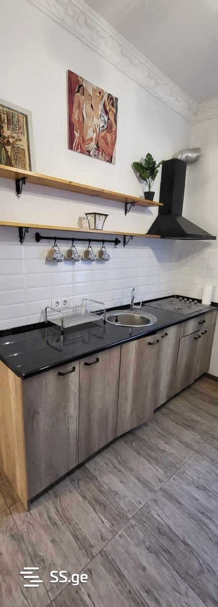 rustaveli avenue - 2 rooms