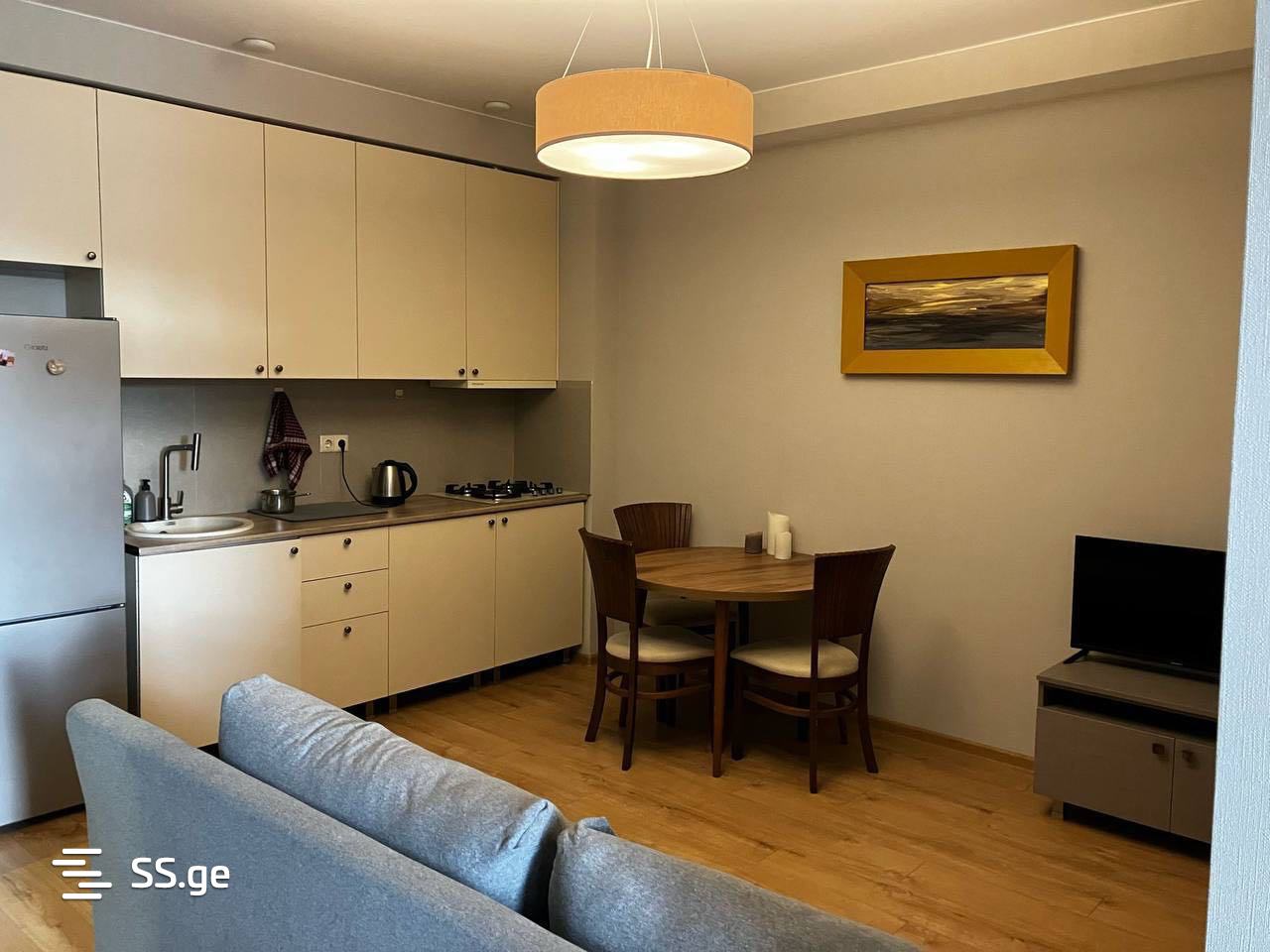 Ts. Dadiani st. (nadzaladevi) 207 - 3 rooms