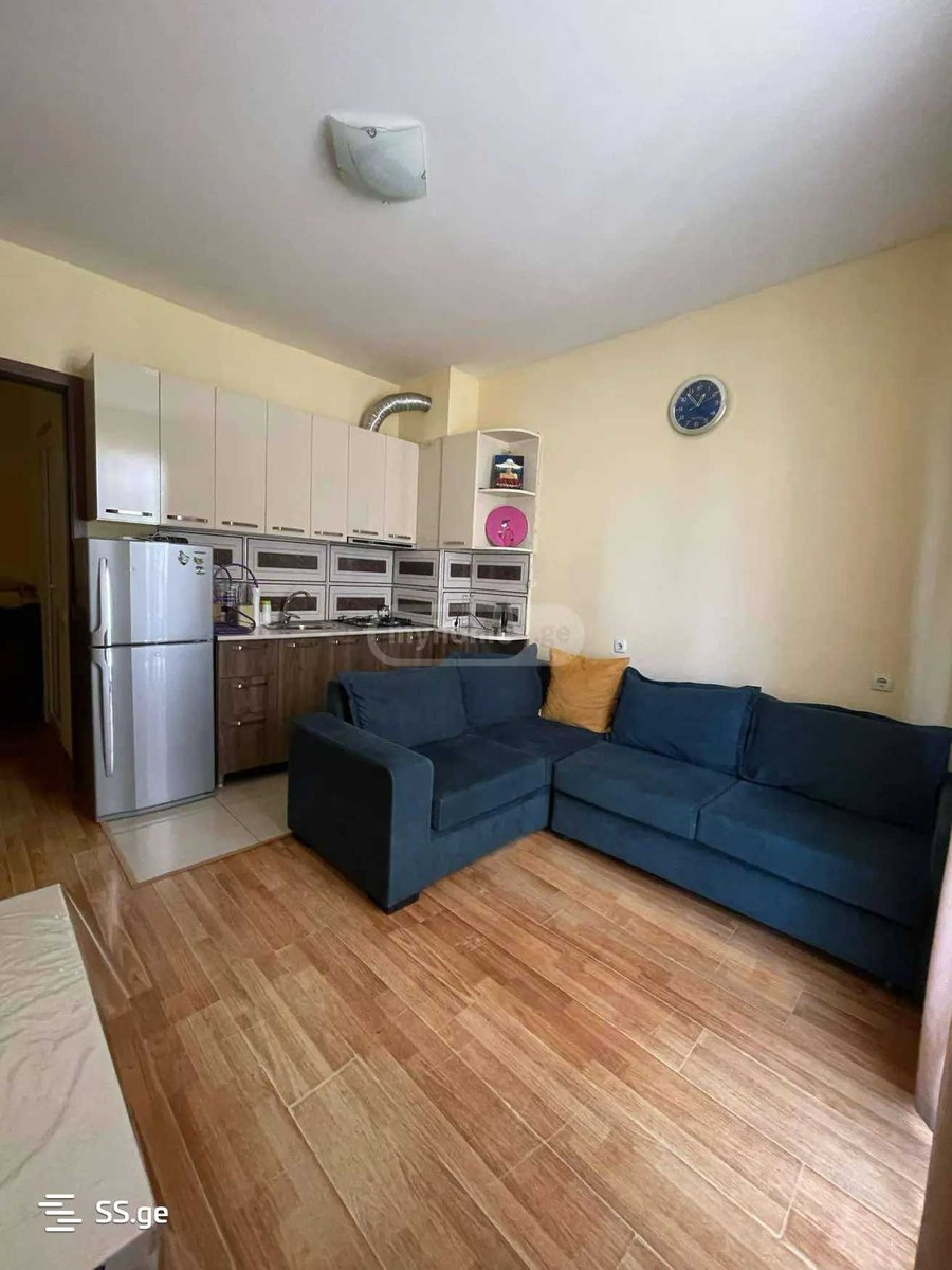 Ts. Dadiani st. (nadzaladevi) - 2 rooms