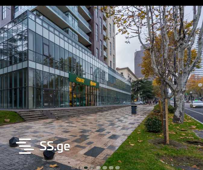 i. chavchavadze avenue - 4 rooms