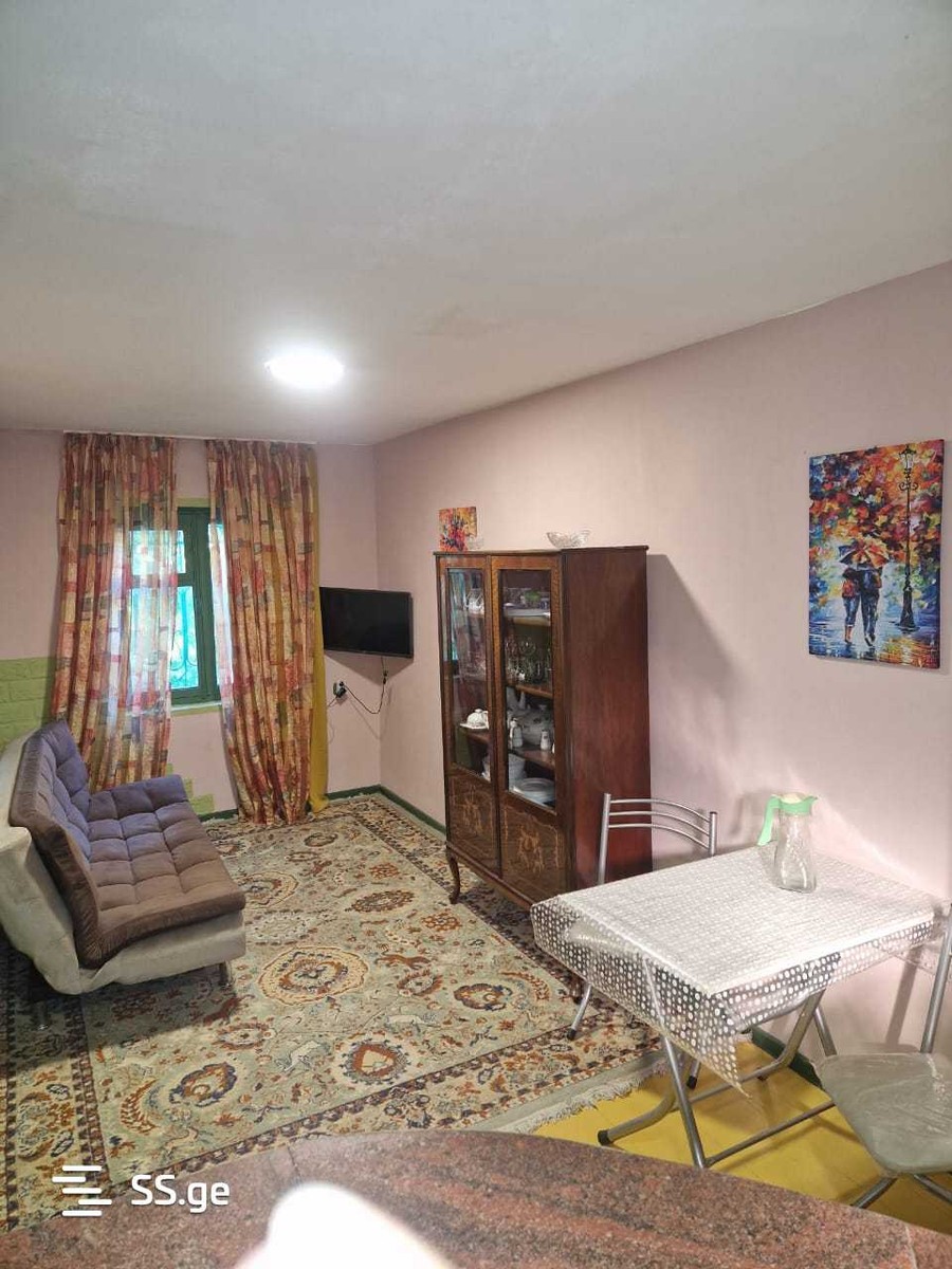 Badagi st. - 2 rooms