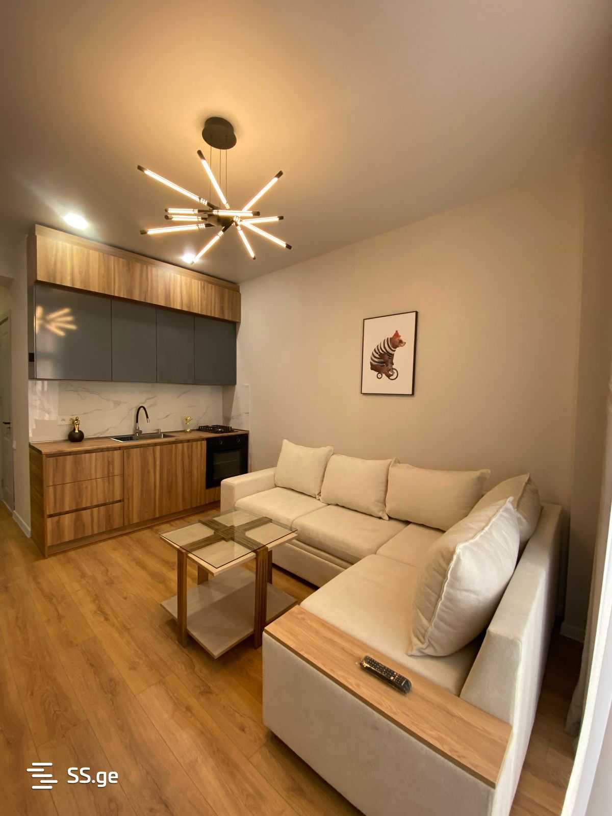 Квартира Ramazi st.