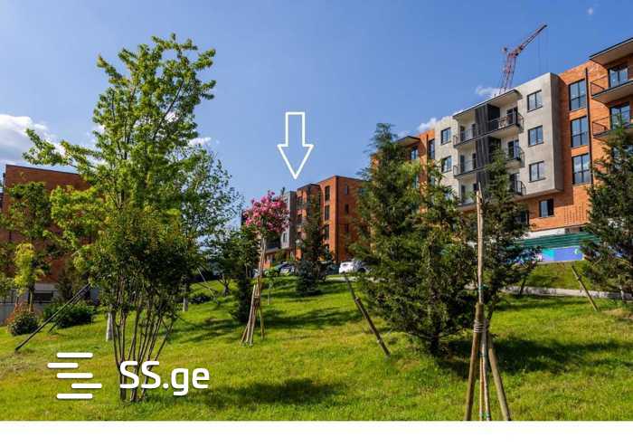 Lisi lake - 3 rooms