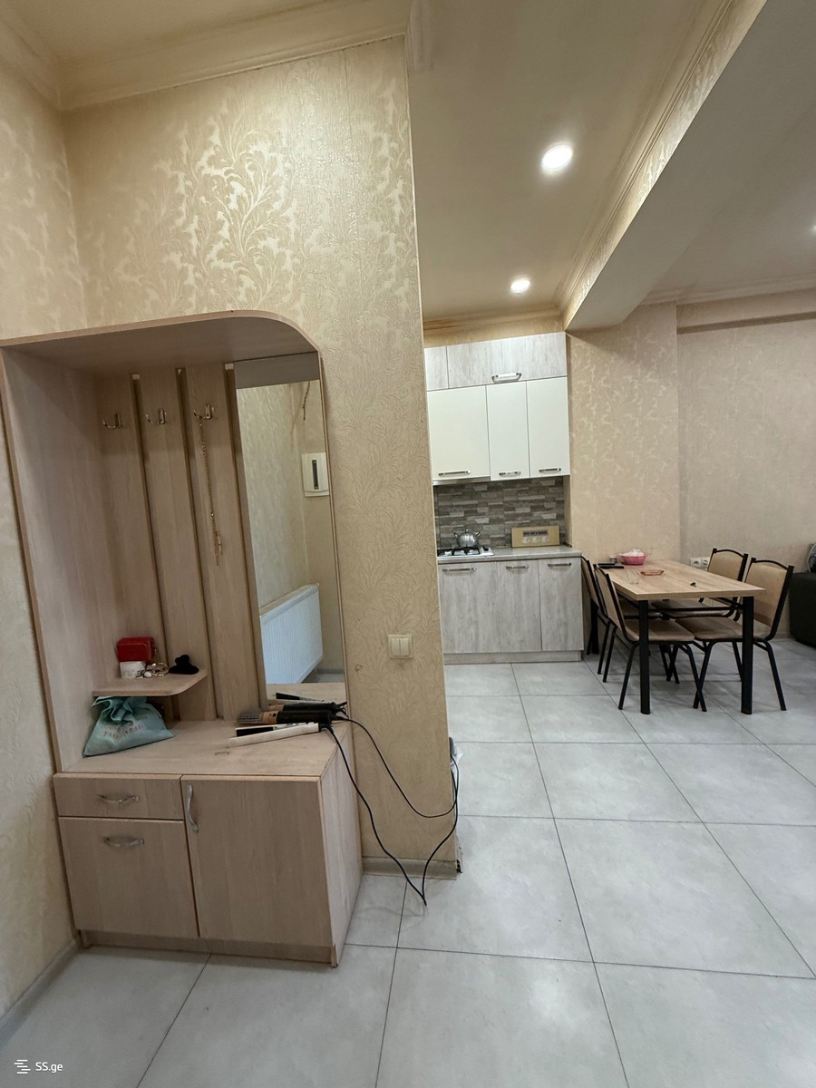 Ts. Dadiani st. (nadzaladevi) 105 - 2 rooms