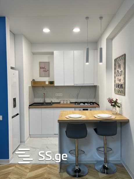 Marshal Archil Gelovani Ave. - 2 rooms