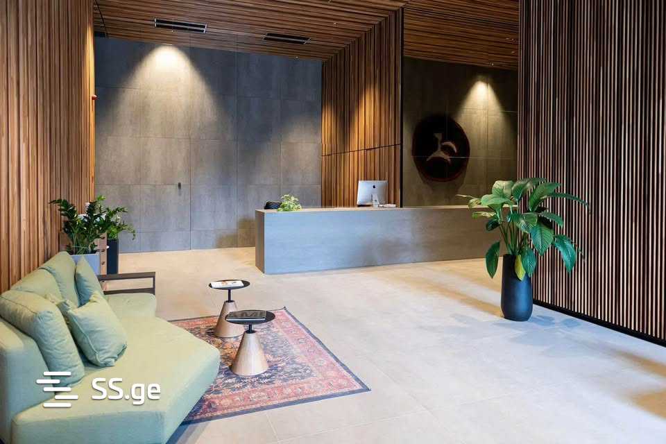 i. chavchavadze avenue 49 - 5 rooms