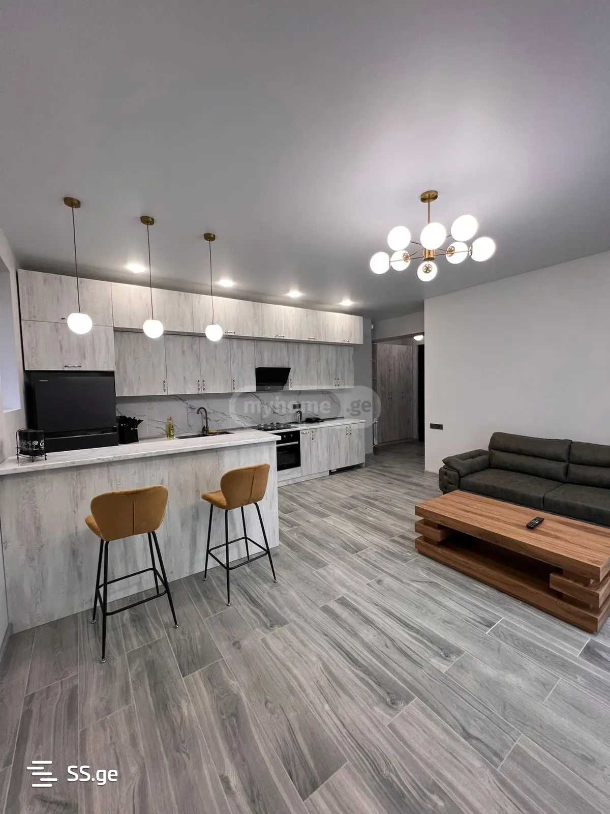 Квартира n. zhvania st. 24