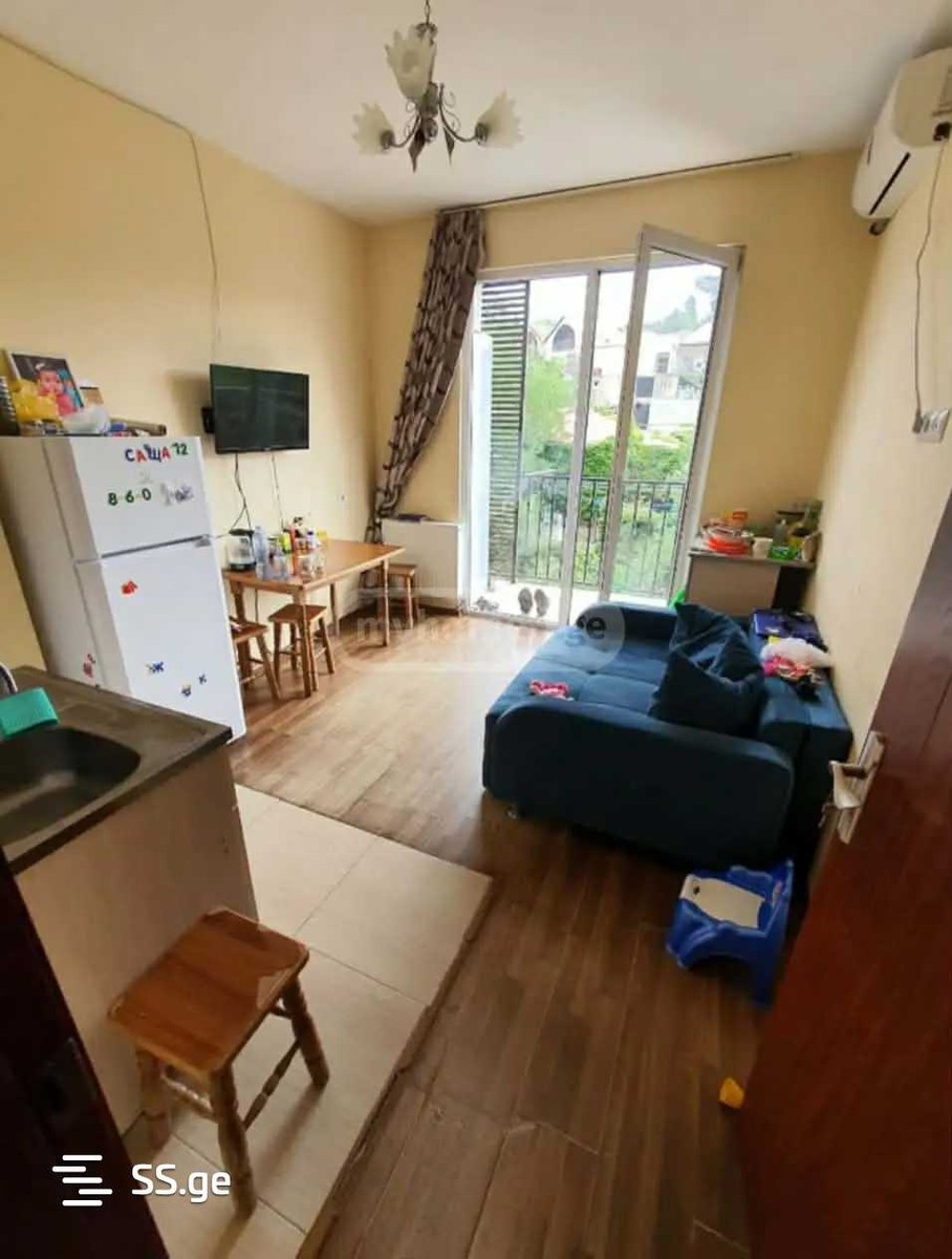 Ts. Dadiani st. (nadzaladevi) - 2 rooms