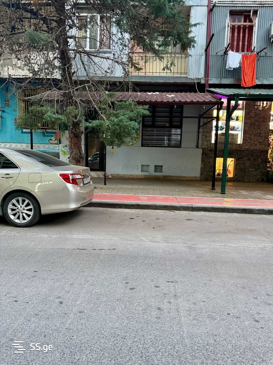 Haidar Abashidze Street 5 - 0 rooms