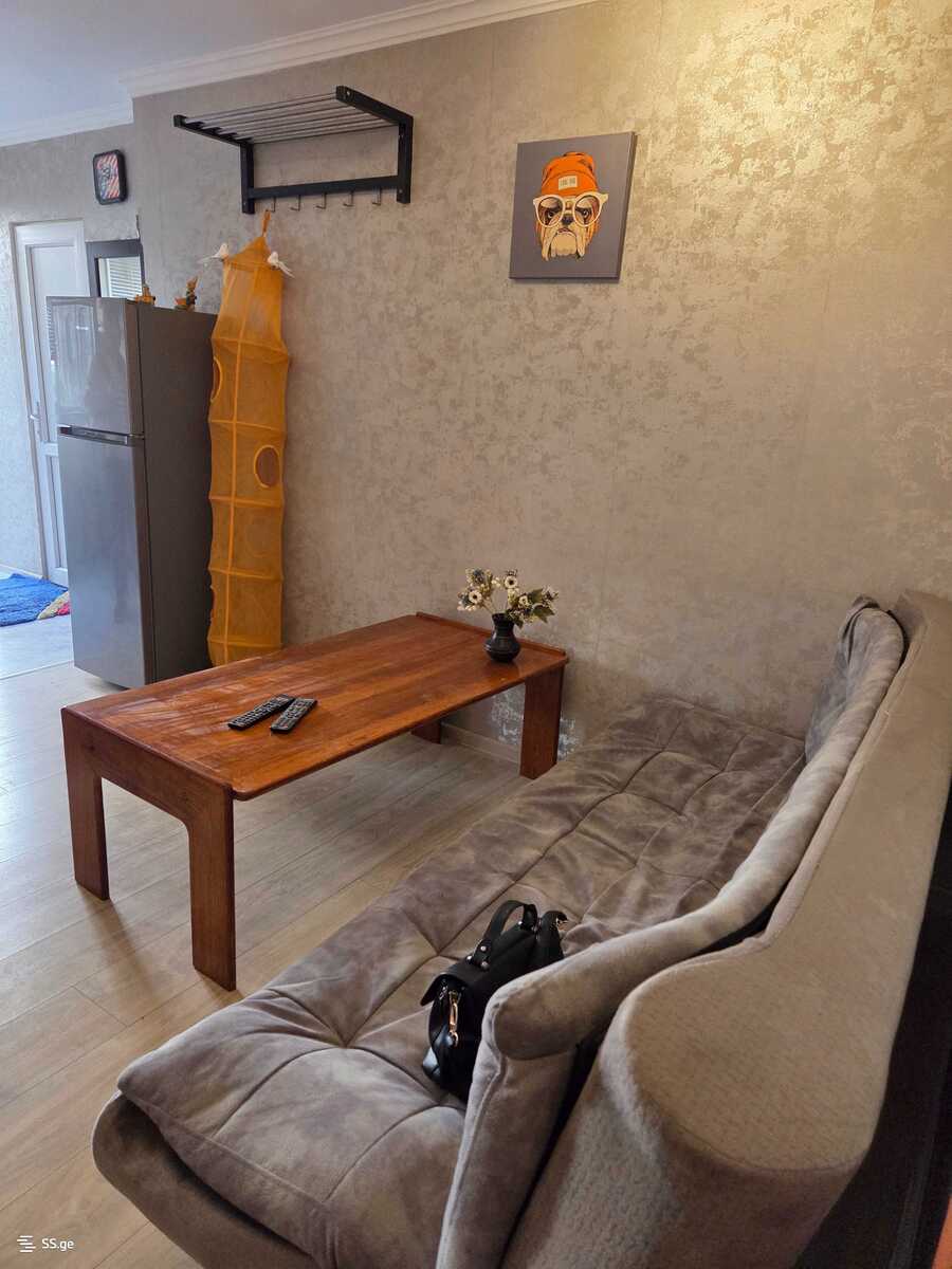 janashia st. 9 - 2 rooms