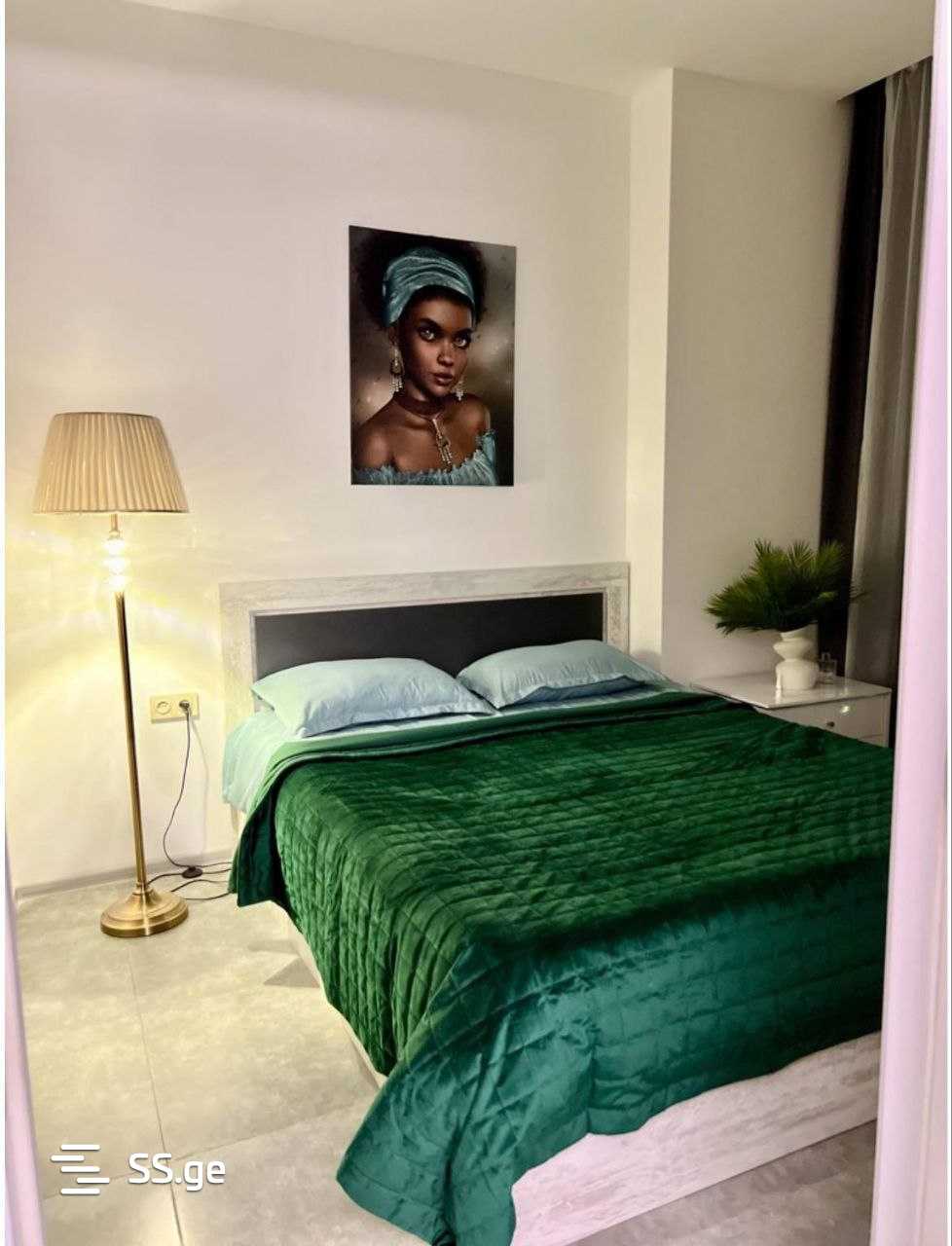 Sherif Khimshiashvili Ave 65 - 2 rooms