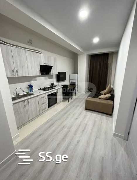 Ts. Dadiani st. (nadzaladevi) - 2 rooms