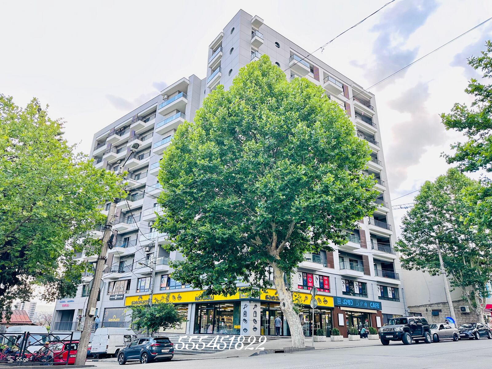 Квартира Ts. Dadiani st. (nadzaladevi)