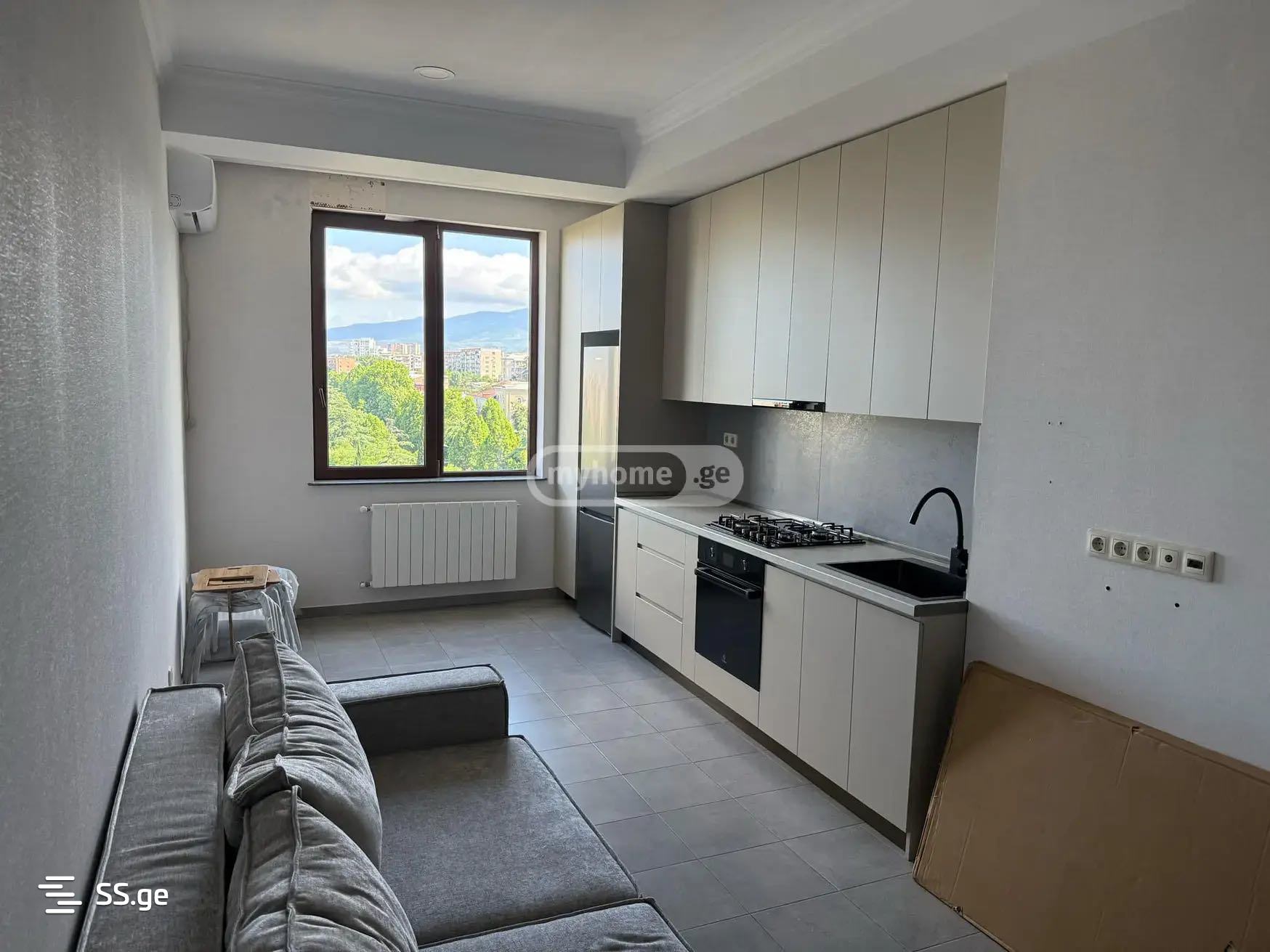 Квартира Ts. Dadiani st. (nadzaladevi)