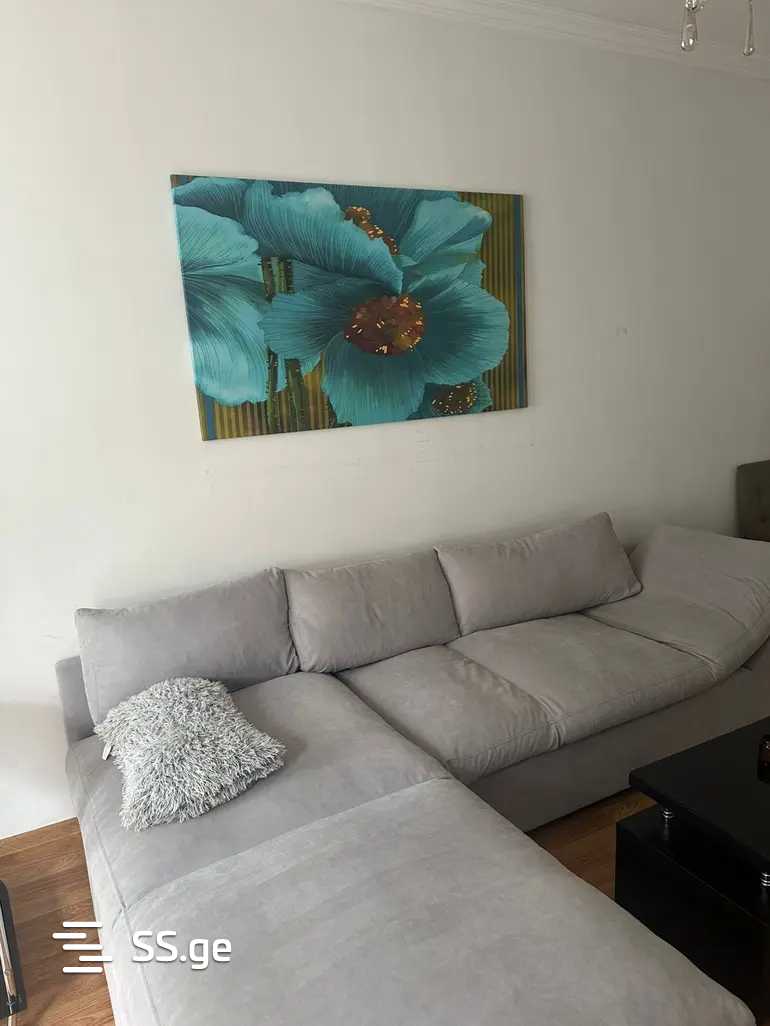 janashia st. - 3 rooms