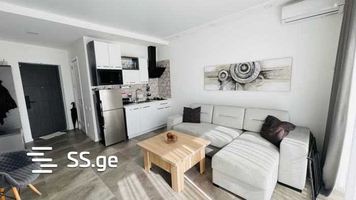 Ts. Dadiani st. (nadzaladevi) - 2 rooms