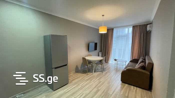 Квартира Ts. Dadiani st. (nadzaladevi)