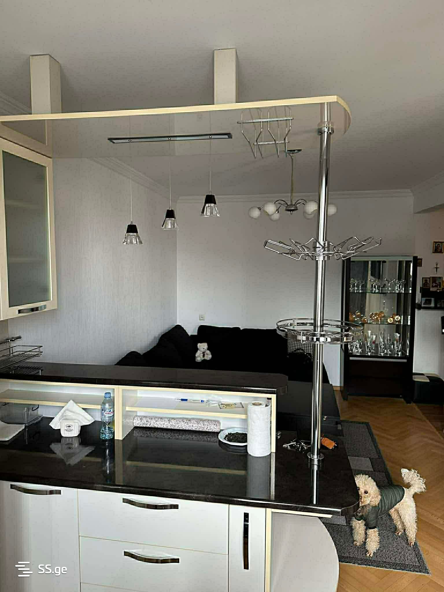 Квартира Dolidze st.