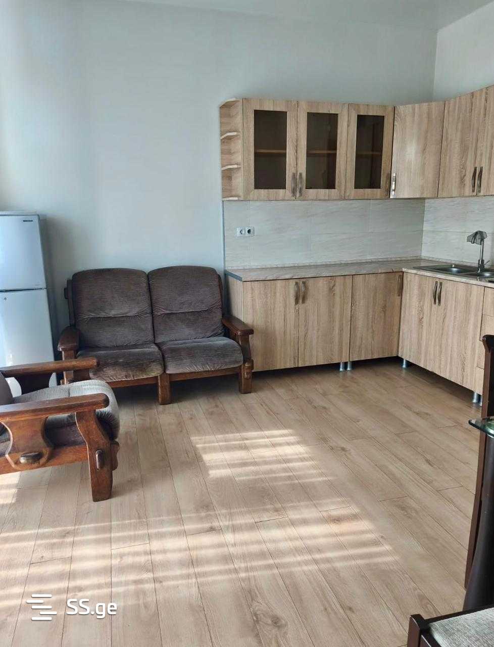 Квартира Ts. Dadiani st. (nadzaladevi)