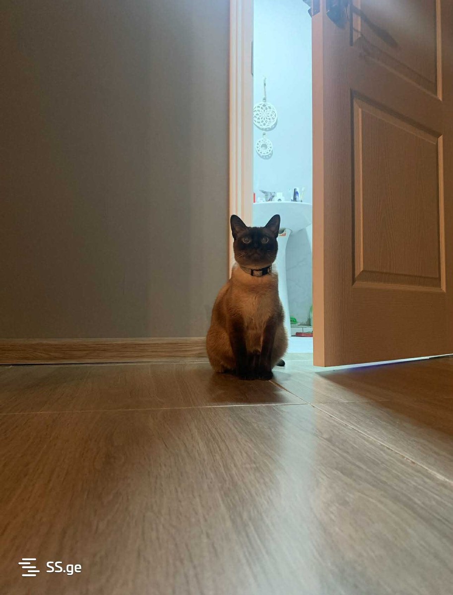 II Microdistrict - Gldani კორპუსი 36 - 3 rooms