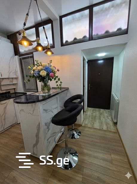 agmashenebeli ave - 2 rooms