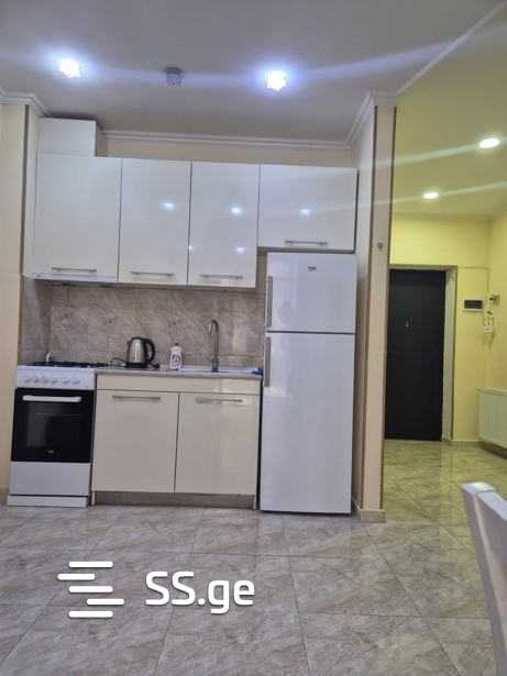 Квартира Ts. Dadiani st. (nadzaladevi)