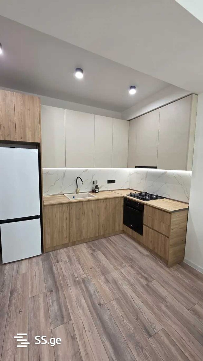 dzmebi orbelianebi st. 62 - 2 rooms