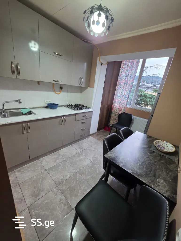 Квартира Ts. Dadiani st. (nadzaladevi)