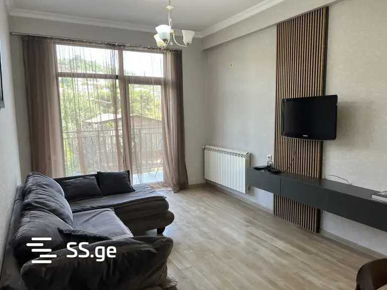 Ts. Dadiani st. (nadzaladevi) - 2 rooms