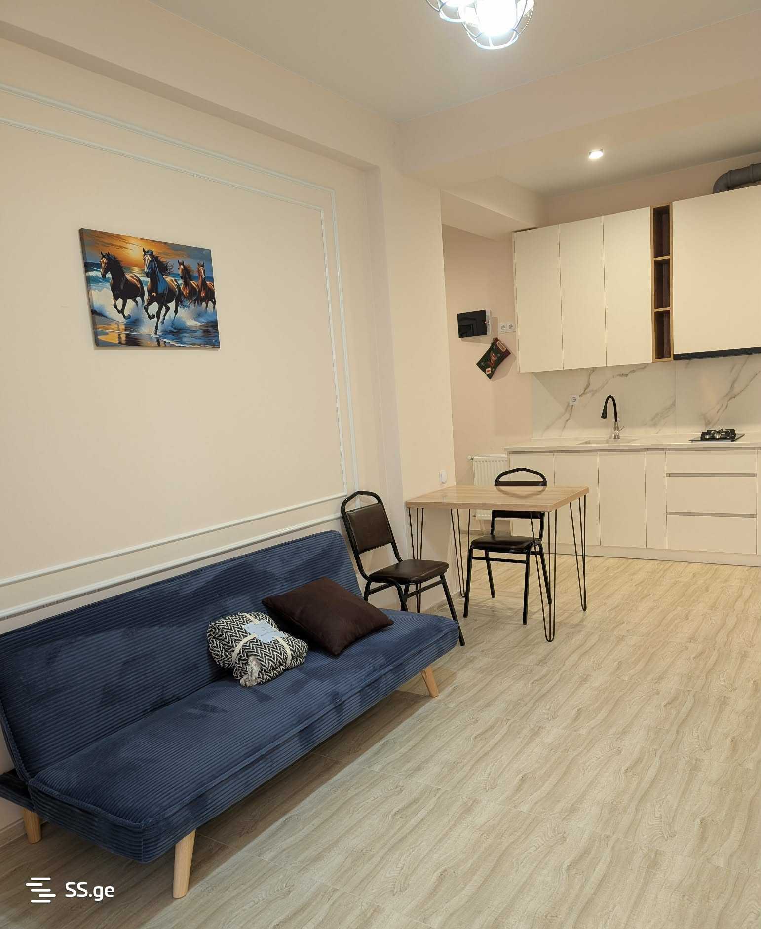 Квартира G. Guramishvili st.