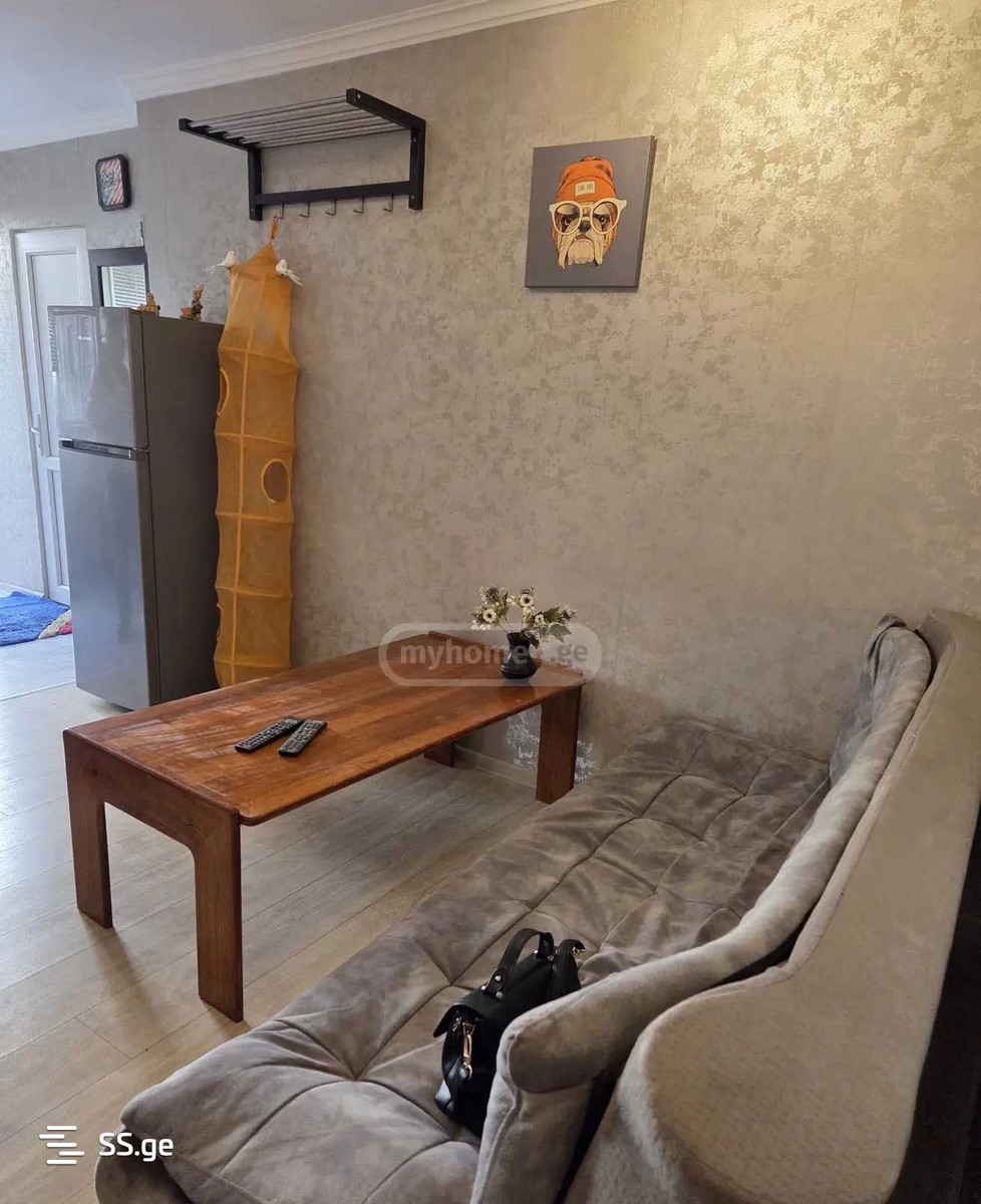 janashia st. 9 - 2 rooms