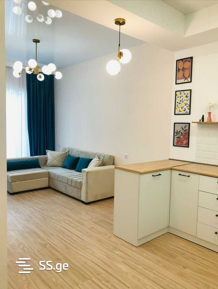 Abashidze-Orbeliani st. - 2 rooms