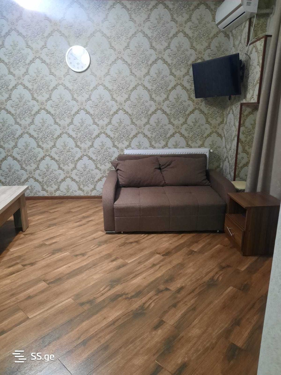 Fighters for the Unity of Georgia st. - 2 rooms