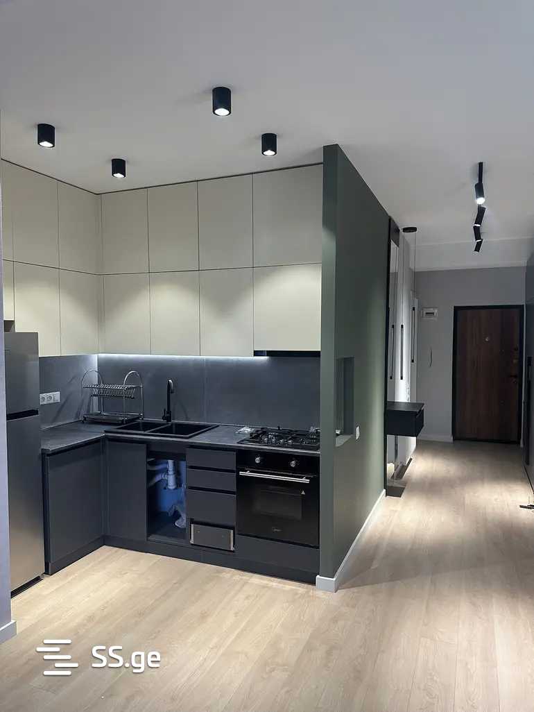 Ts. Dadiani st. (nadzaladevi) 0 - 2 rooms