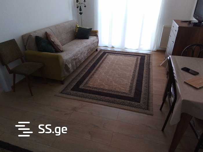 Ts. Dadiani st. (nadzaladevi) - 2 rooms