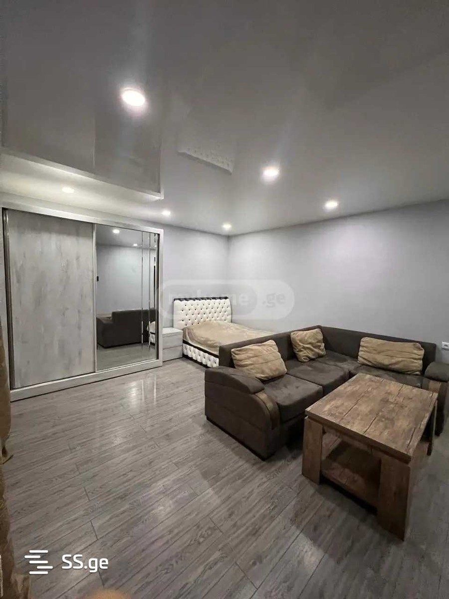 Ts. Dadiani st. (nadzaladevi) 0 - 1 rooms